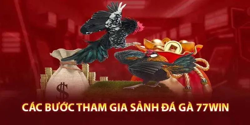 Hướng dẫn anh em tham gia cá cược đá gà tại 77win